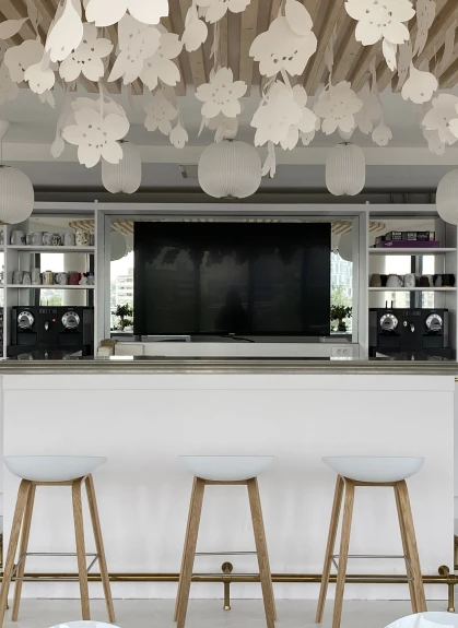 Otsuka Pharmaceutical France SAS