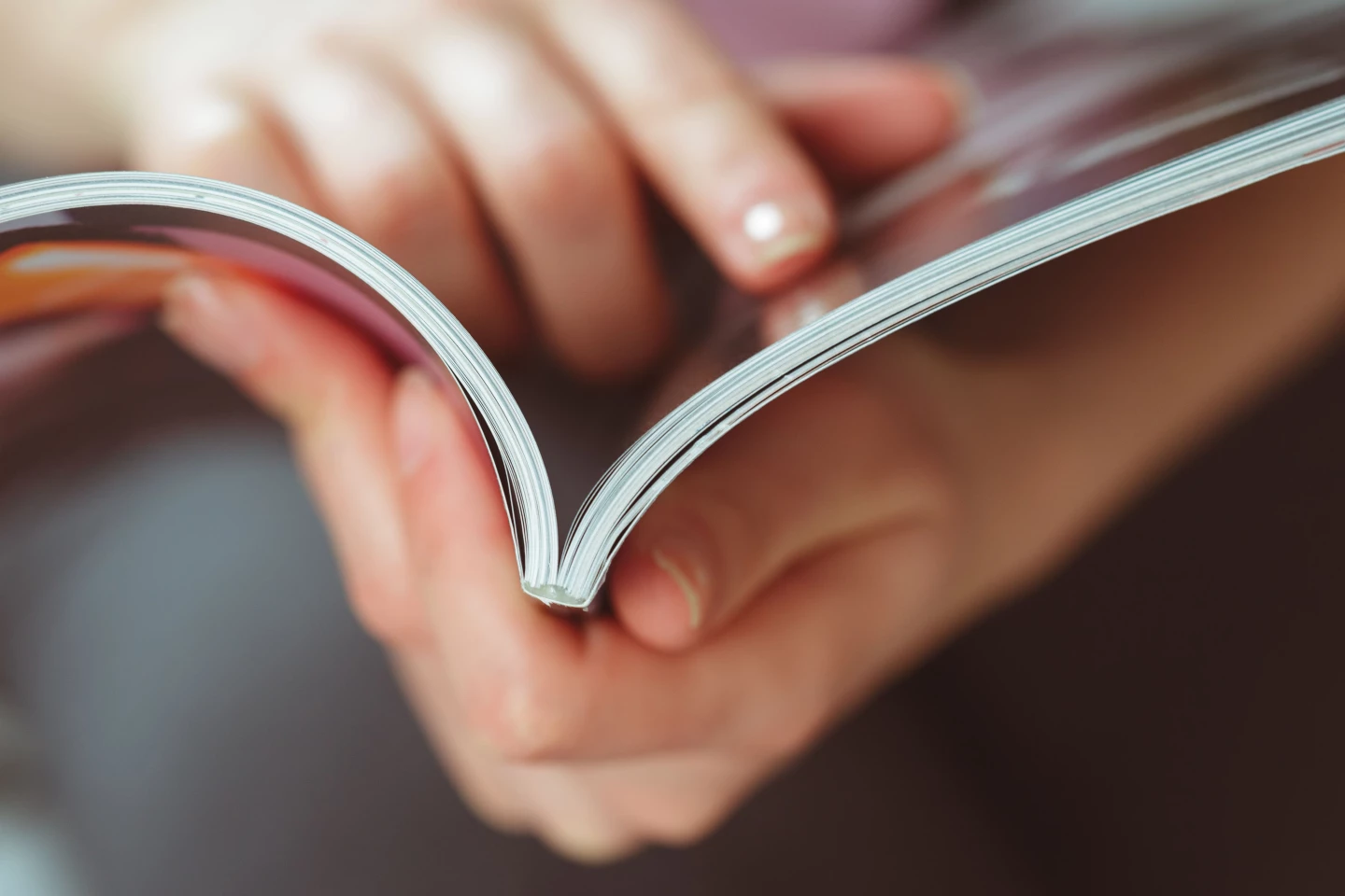 Office et culture «la référence du monde de l'aménagement tertiaire» parle Ocellis Groupe