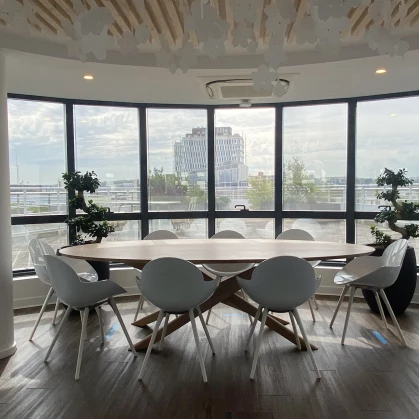 Otsuka Pharmaceutical France SAS