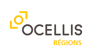 Ocellis regions